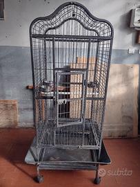 Gabbia pappagalli 