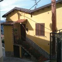 RGE 24/2016 Trib Patti