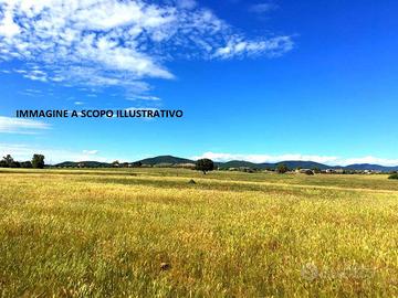 Terreno di 220000 m² a Marta