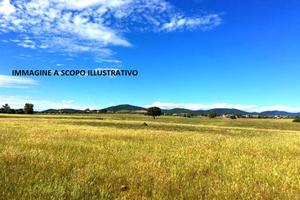 Terreno di 220000 m² a Marta