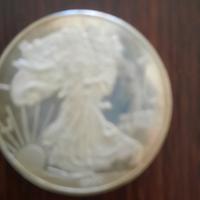 moneta da un dollaro da collezione 