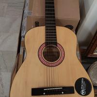 Chitarra acustica Dynasun 