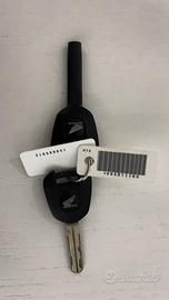 Bauletto + staffe honda xadv 2019