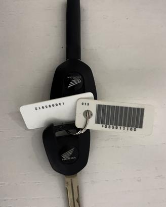 Bauletto + staffe honda xadv 2019