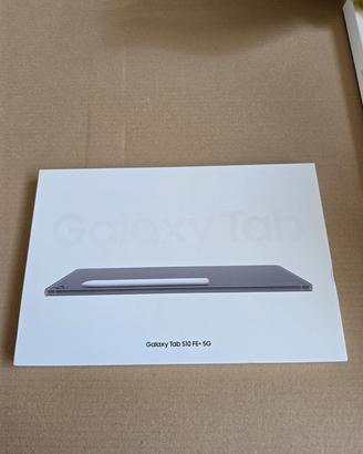 Galaxy Tablet S10 FE + 5g 256 GB---13,1 Pollici 