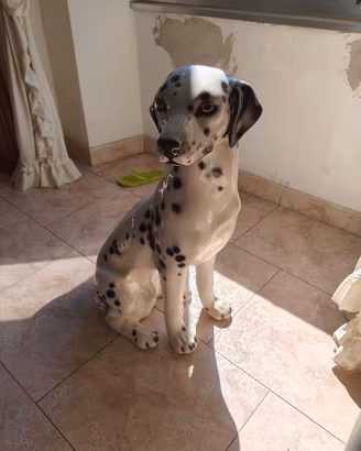 Dalmata ceramica