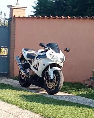 moto Honda CBR 929 Fire blead