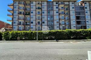 MONOLOCALE A COLLEGNO
