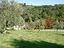 Immagine 21