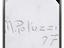 Immagine 6