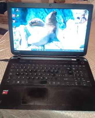 Laptop Computer  Notebook Toshiba