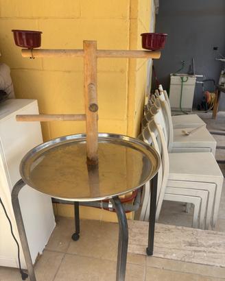 piatto voliera perpappagalli