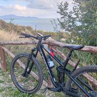 MTB trek fuel ex 5 con emtb