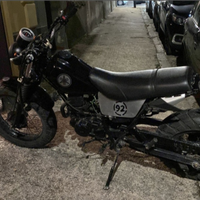 Yamaha tw200