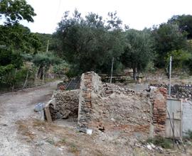 Terreno agricolo