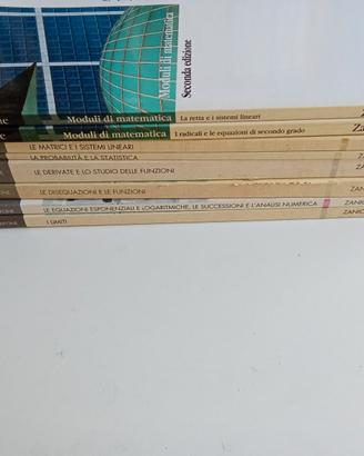 Libri matematica Zanichelli 