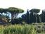 Immagine 17