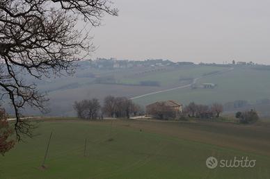 Terreno e rustico agricolo