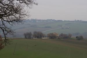 Terreno e rustico agricolo