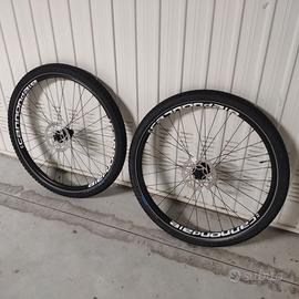 Cerchi Shimano boost con dischi e gomme