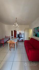 Monolocale con ampio terrazzo