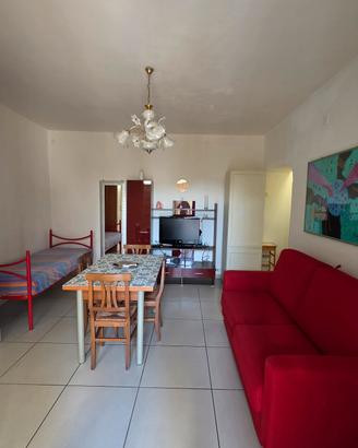Monolocale con ampio terrazzo