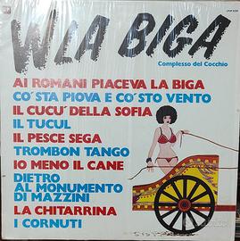 Disco 33 giri in vinile