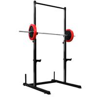 Squat rack bodybuilding con stazione trazioni