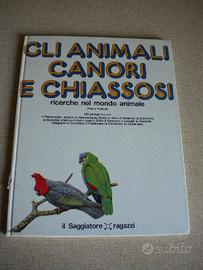 Gli animali canori e chiassosi il saggiatore '72
