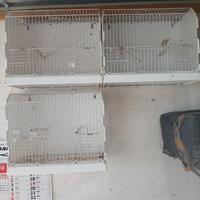 gabbiette preparazione mostre