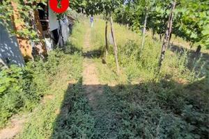 Terreno di 1700 m² a Santa Maria a Vico