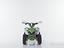 Immagine 7