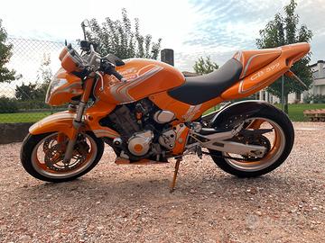 Honda Hornet 2001 - Café Racer