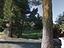Immagine 15