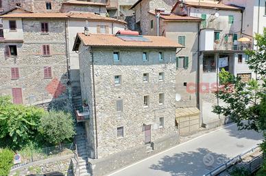 Casa Indipendente Minucciano [Cod.UG378DVVRG]