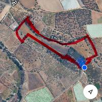 Terreno Agricolo di 28,000 MTQ con Rustico