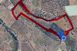 Terreno Agricolo di 28,000 MTQ con Rustico