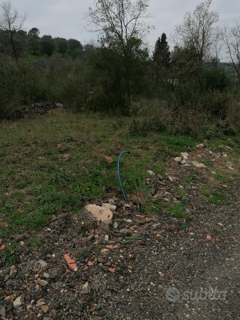 Terreno agricolo con uliveto - Vista 5