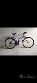 bici mountainbuke