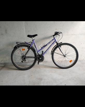 bici mountainbuke