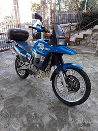 Suzuki DR 800 S Big - 1991 ASI