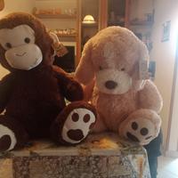 Orso e Orsacchiotto di peluche 