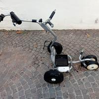 carrello da golf elettrico 