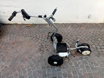 carrello da golf elettrico 