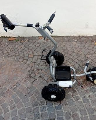 carrello da golf elettrico 