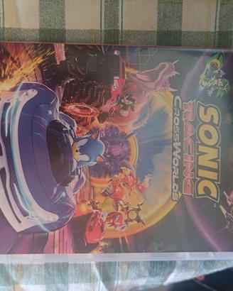 Sonic cross Worlds Racing Switch 