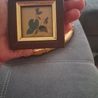 quadro Viola mammola