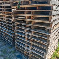 Pallet in legno