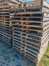 Pallet in legno