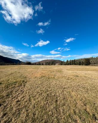 Fieno in pianta 45 ettari